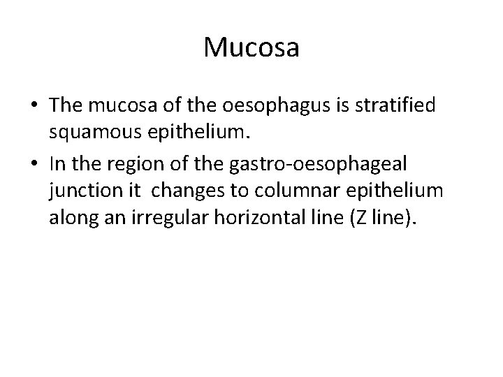 Mucosa • The mucosa of the oesophagus is stratified squamous epithelium. • In the