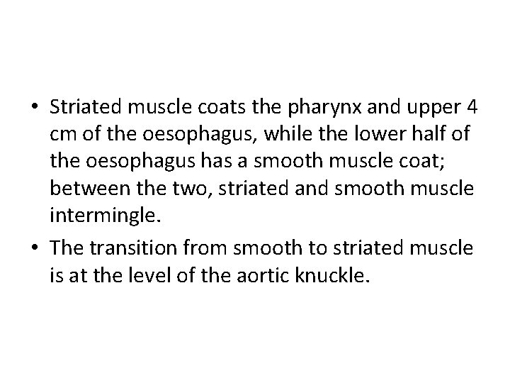  • Striated muscle coats the pharynx and upper 4 cm of the oesophagus,
