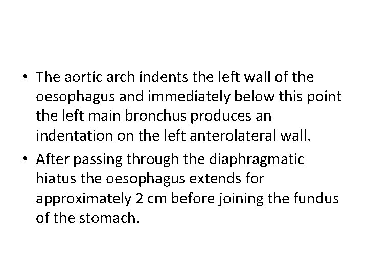  • The aortic arch indents the left wall of the oesophagus and immediately