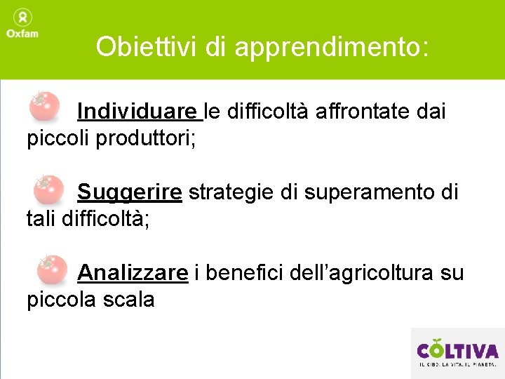 Obiettivi di apprendimento: Individuare le difficoltà affrontate dai piccoli produttori; Suggerire strategie di superamento