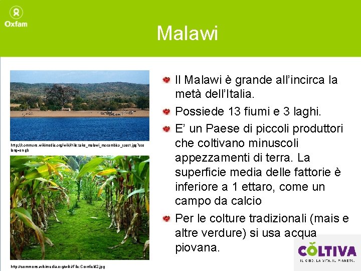 Malawi http: //commons. wikimedia. org/wiki/File: Lake_malawi_mozambico_coast. jpg? use lang=en-gb http: //commons. wikimedia. org/wiki/File: Cornfield