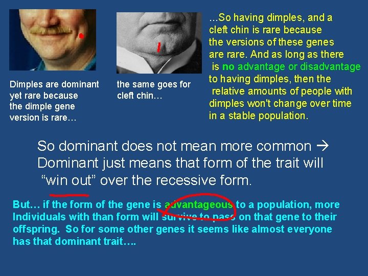 …So having dimples, and a Dimples are dominant yet rare because the dimple gene