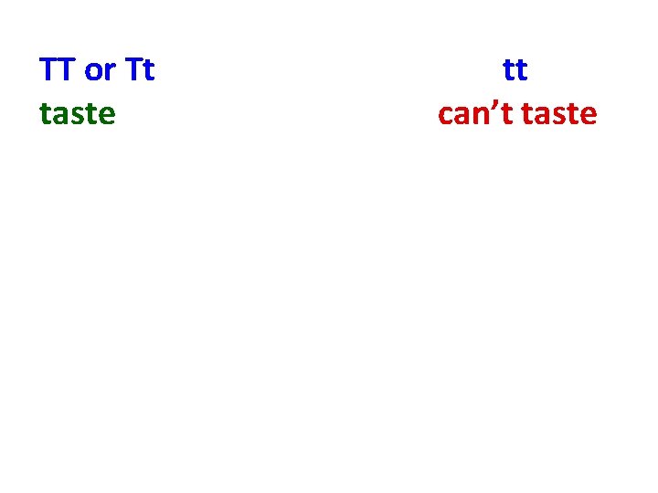 TT or Tt taste tt can’t taste 