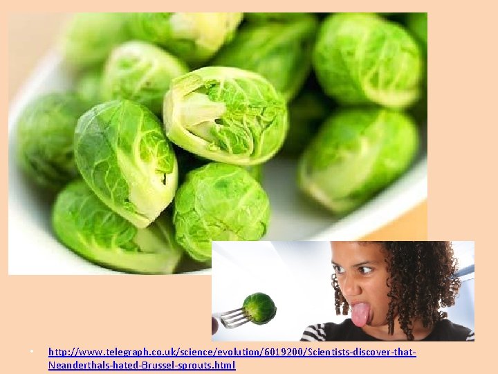  • http: //www. telegraph. co. uk/science/evolution/6019200/Scientists-discover-that. Neanderthals-hated-Brussel-sprouts. html 