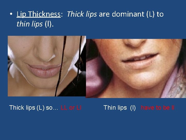  • Lip Thickness: Thick lips are dominant (L) to thin lips (l). Thick