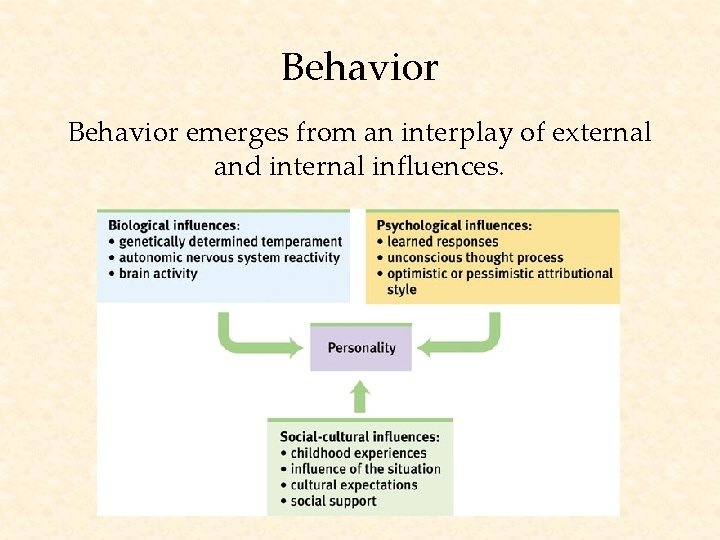 Behavior emerges from an interplay of external and internal influences. 