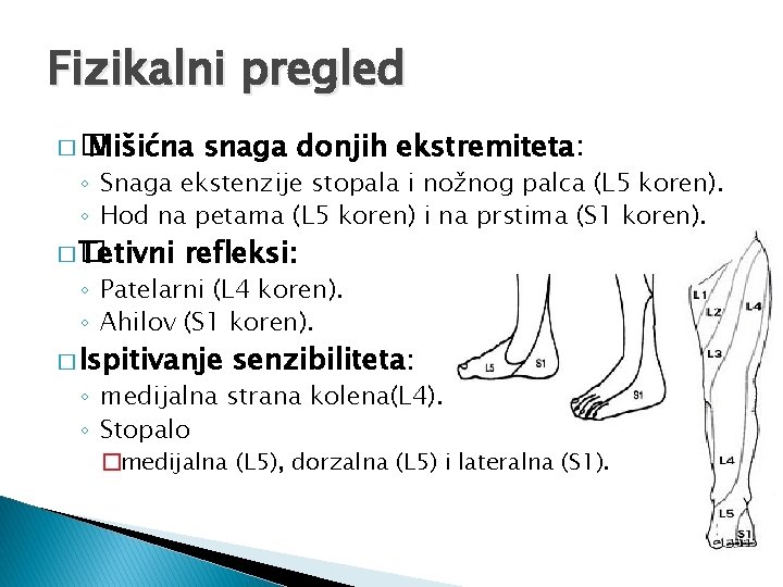 Fizikalni pregled �� Mišićna snaga donjih ekstremiteta: ◦ Snaga ekstenzije stopala i nožnog palca