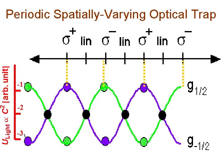 Periodic Spatially-Varying Optical Trap -1 -2 -3 