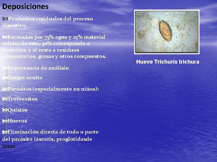 Deposiciones Productos residuales del proceso digestivo. Formadas por 75% agua y 25% material sólido;