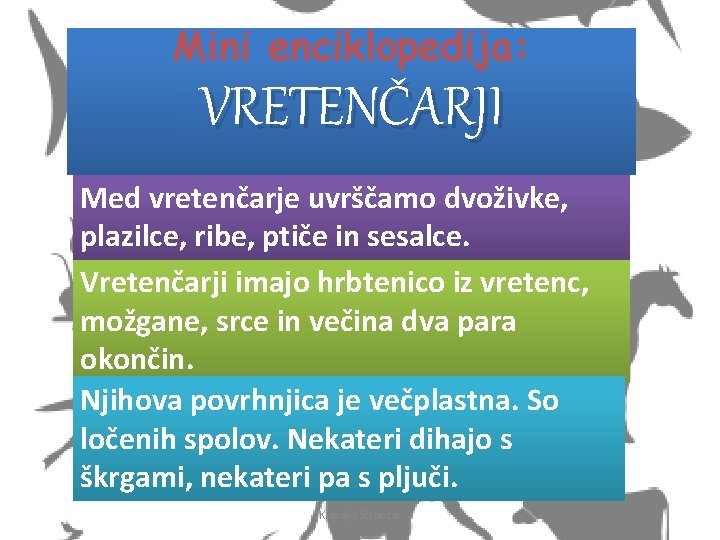 Mini enciklopedija: VRETENČARJI Med vretenčarje uvrščamo dvoživke, plazilce, ribe, ptiče in sesalce. Vretenčarji imajo