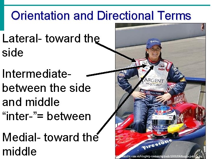 Orientation and Directional Terms Lateral- toward the side Intermediatebetween the side and middle “inter-”=