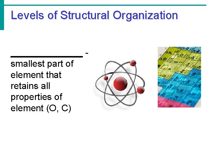 Levels of Structural Organization _______ smallest part of element that retains all properties of