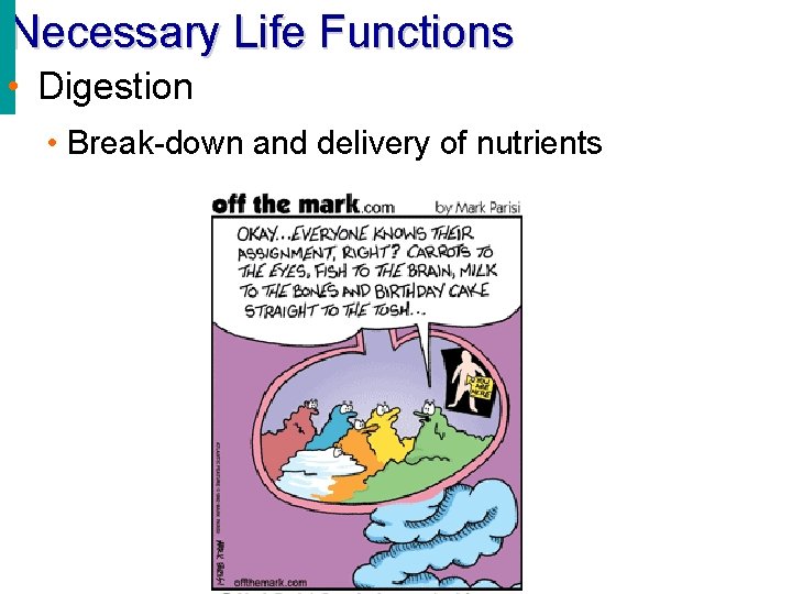 Necessary Life Functions • Digestion • Break-down and delivery of nutrients 