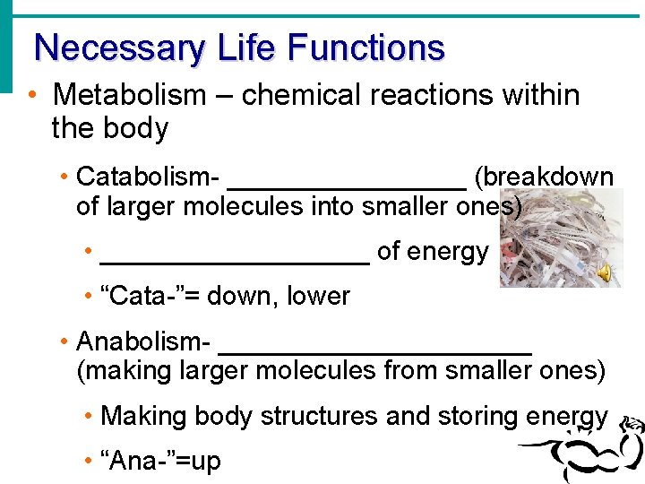 Necessary Life Functions • Metabolism – chemical reactions within the body • Catabolism- ________