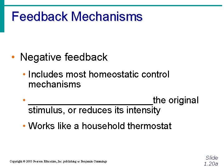 Feedback Mechanisms • Negative feedback • Includes most homeostatic control mechanisms • ____________the original