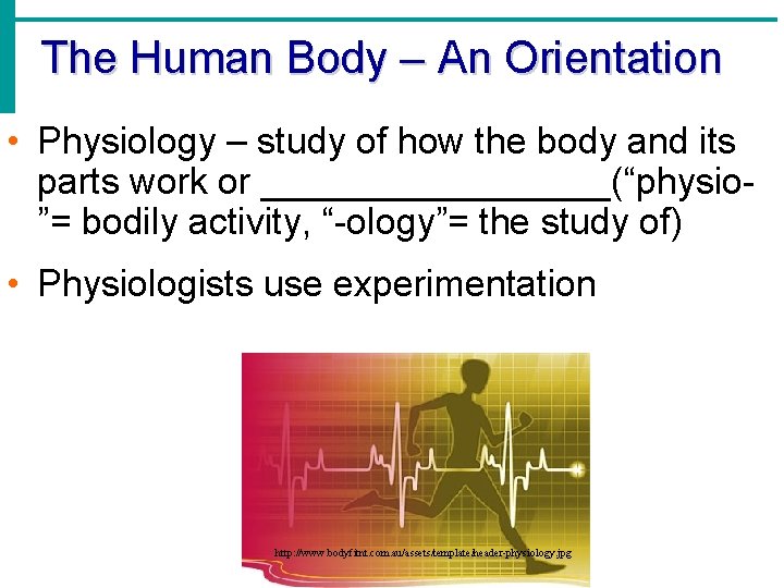 The Human Body – An Orientation • Physiology – study of how the body