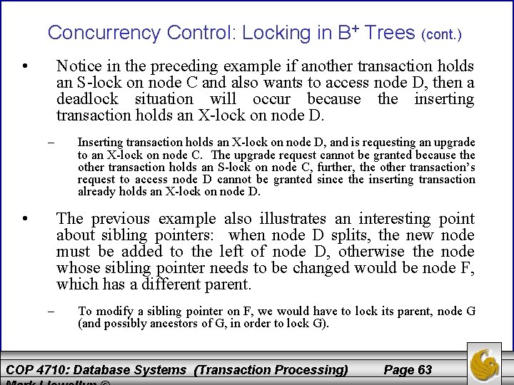 Concurrency Control: Locking in B+ Trees (cont. ) • Notice in the preceding example