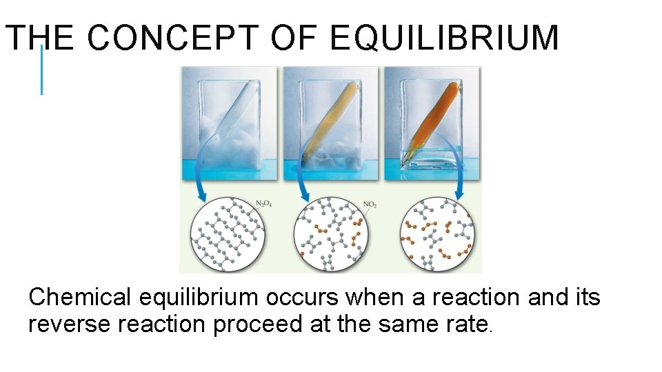 THE CONCEPT OF EQUILIBRIUM Chemical equilibrium occurs when a reaction and its reverse reaction