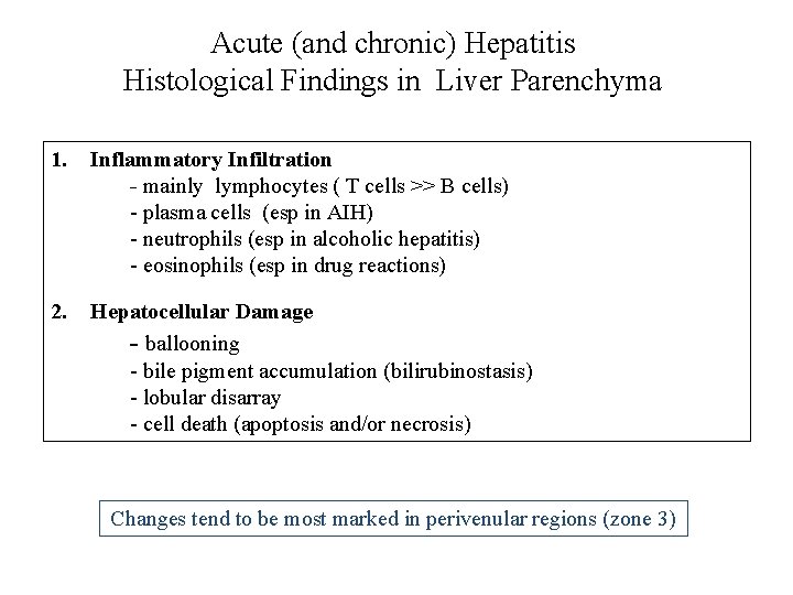 Acute (and chronic) Hepatitis Histological Findings in Liver Parenchyma 1. Inflammatory Infiltration - mainly