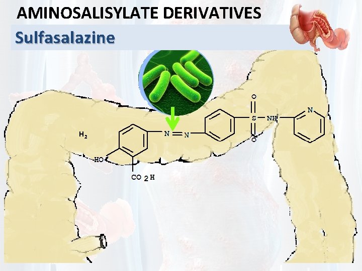 AMINOSALISYLATE DERIVATIVES Sulfasalazine H 2 