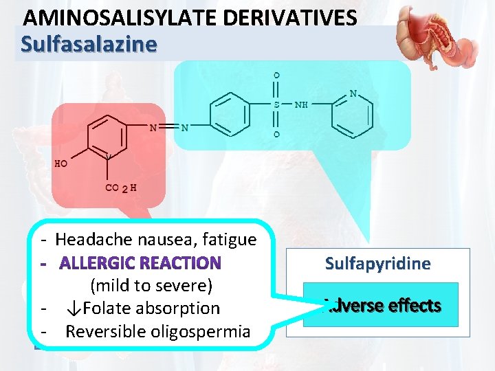 AMINOSALISYLATE DERIVATIVES Sulfasalazine v - Headache nausea, fatigue 5 -aminosalisylic acid (Mesalamine) (mild to