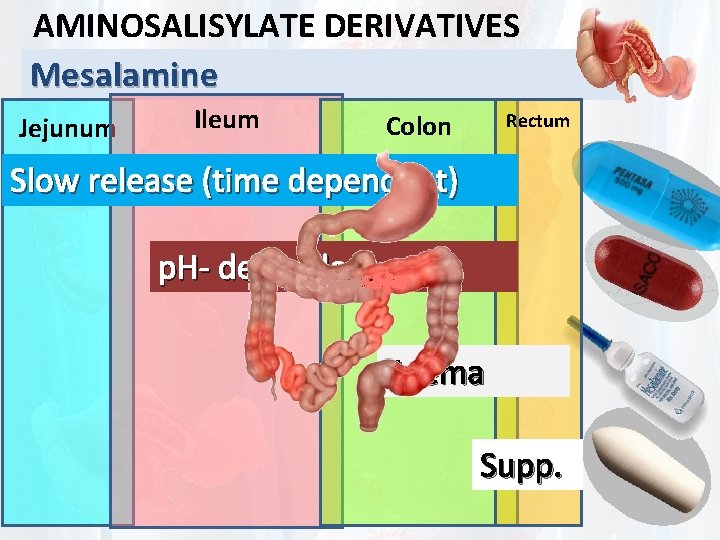 AMINOSALISYLATE DERIVATIVES Mesalamine Jejunum Ileum Colon Rectum Slow release (time dependent) p. H- dependent