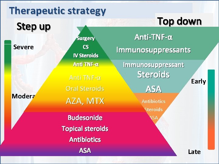 Therapeutic strategy Step up Severe Moderate Mild Surgery CS IV Steroids Anti TNF-α Oral