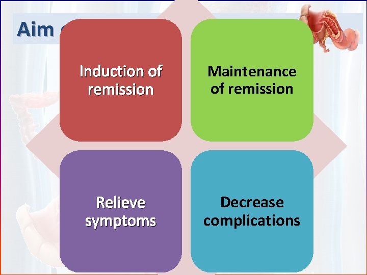 Aim of Therapy of IBD Induction of remission Maintenance of remission Relieve symptoms Decrease
