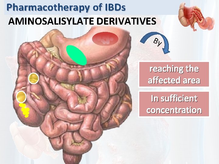 Pharmacotherapy of IBDs AMINOSALISYLATE DERIVATIVES By reaching the affected area In sufficient concentration 