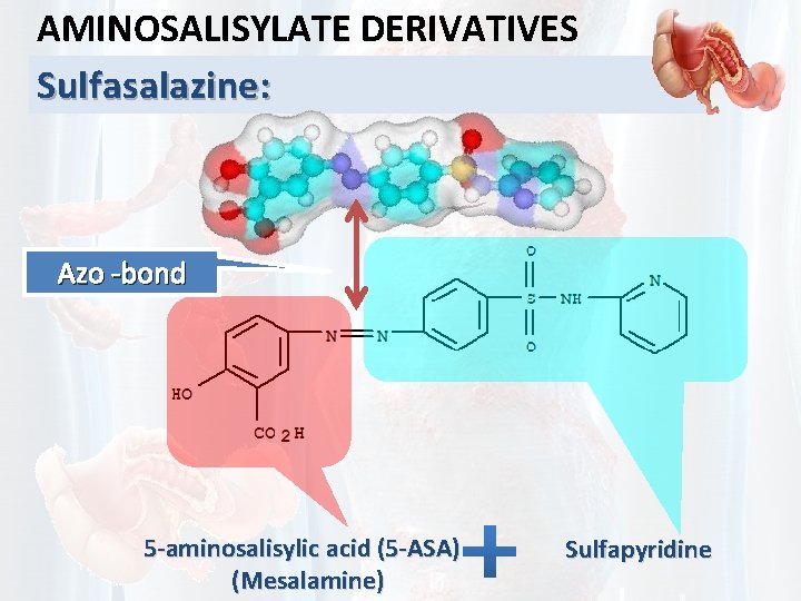AMINOSALISYLATE DERIVATIVES Sulfasalazine: Azo -bond 5 -aminosalisylic acid (5 -ASA) (Mesalamine) Sulfapyridine 