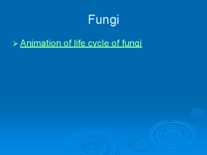 Fungi Ø Animation of life cycle of fungi 