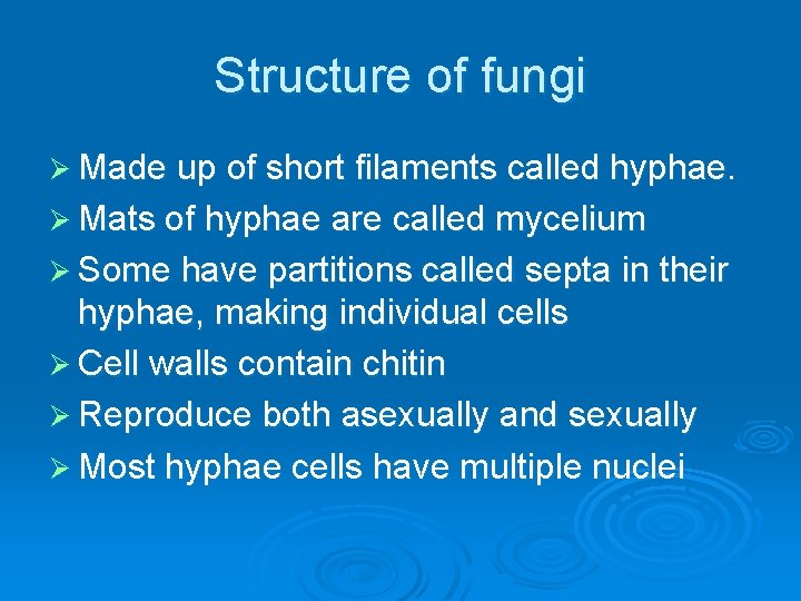 Structure of fungi Ø Made up of short filaments called hyphae. Ø Mats of