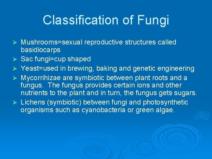 Classification of Fungi Ø Ø Ø Mushrooms=sexual reproductive structures called basidiocarps Sac fungi=cup shaped