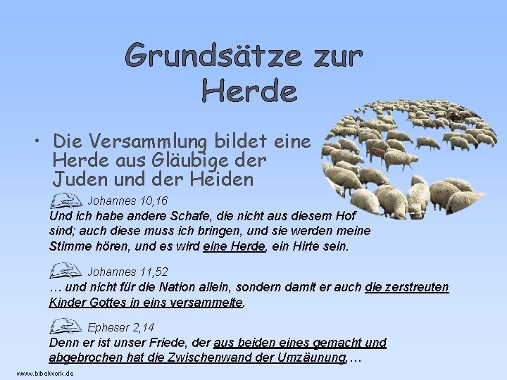  • Die Versammlung bildet eine Herde aus Gläubige der Juden und der Heiden