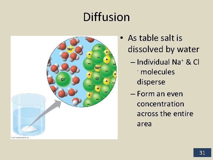 Diffusion • As table salt is dissolved by water – Individual Na+ & Cl