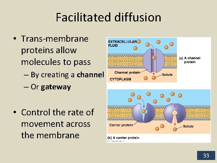 Facilitated diffusion • Trans-membrane proteins allow molecules to pass – By creating a channel