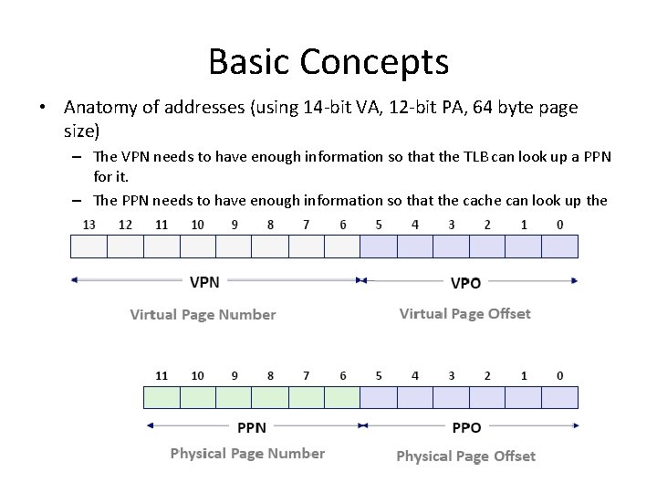 Basic Concepts • Anatomy of addresses (using 14 -bit VA, 12 -bit PA, 64