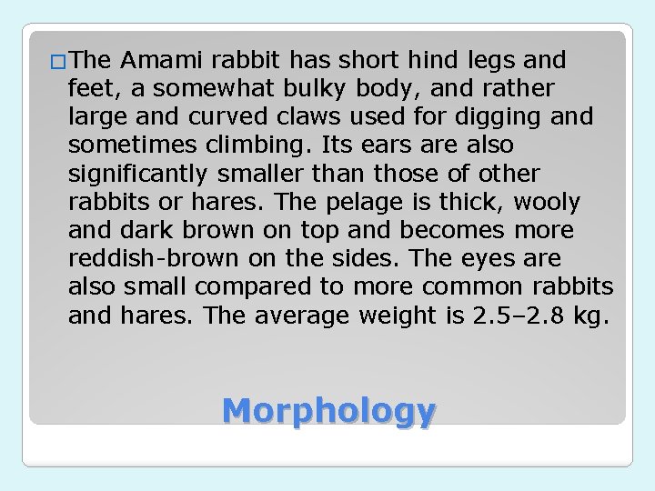 �The Amami rabbit has short hind legs and feet, a somewhat bulky body, and