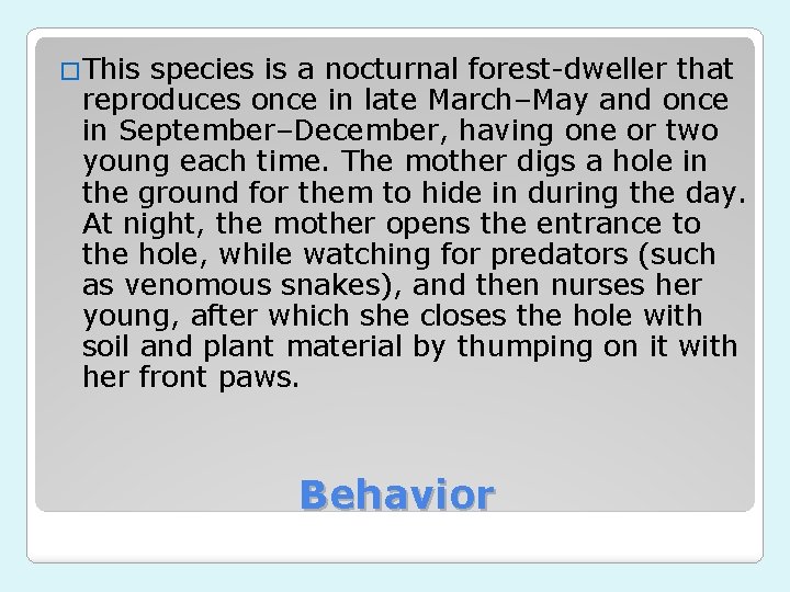 �This species is a nocturnal forest-dweller that reproduces once in late March–May and once
