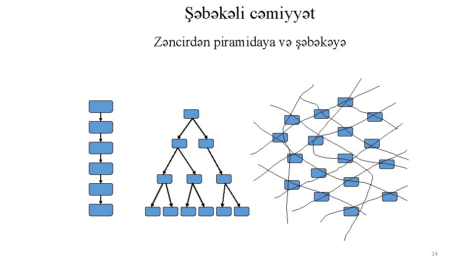 Şəbəkəli cəmiyyət Zəncirdən piramidaya və şəbəkəyə 14 