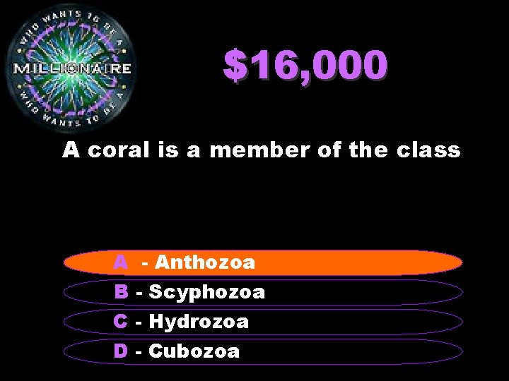 $16, 000 A coral is a member of the class A --Anthozoa B -