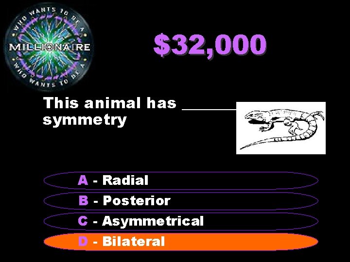 $32, 000 This animal has _______ symmetry A - Radial B - Posterior C