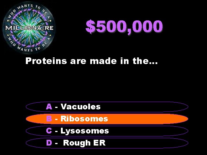 $500, 000 Proteins are made in the. . . A - Vacuoles B -