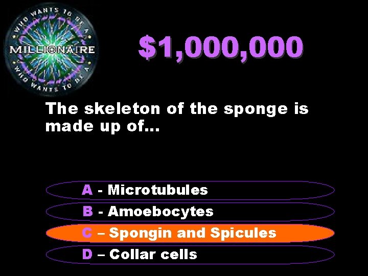 $1, 000 The skeleton of the sponge is made up of. . . A