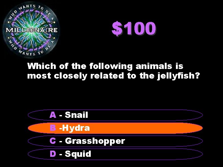 $100 Which of the following animals is most closely related to the jellyfish? A