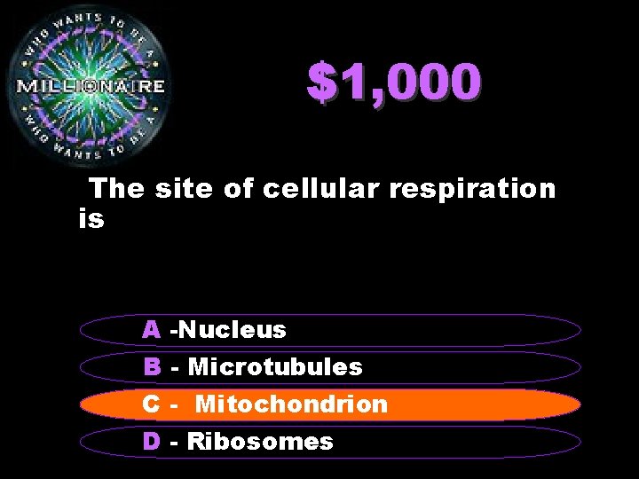 $1, 000 The site of cellular respiration is A -Nucleus B - Microtubules C