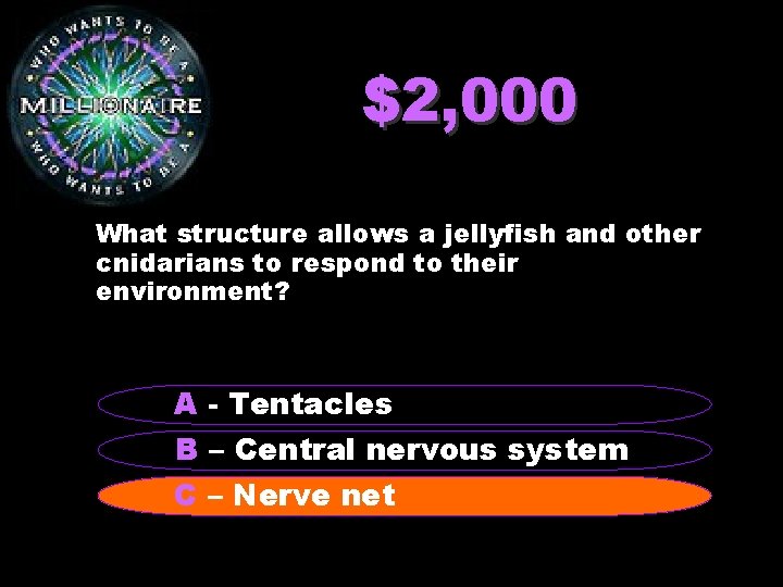 $2, 000 What structure allows a jellyfish and other cnidarians to respond to their
