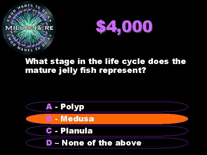 $4, 000 What stage in the life cycle does the mature jelly fish represent?