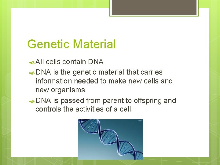 Genetic Material All cells contain DNA is the genetic material that carries information needed