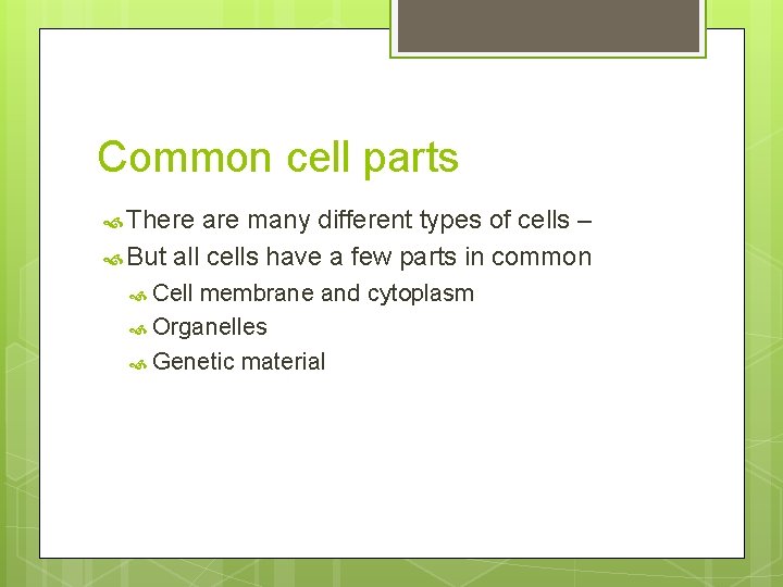 Common cell parts There are many different types of cells – But all cells